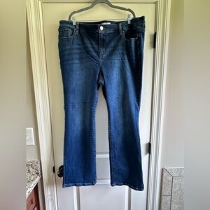 Lane Bryant jeans